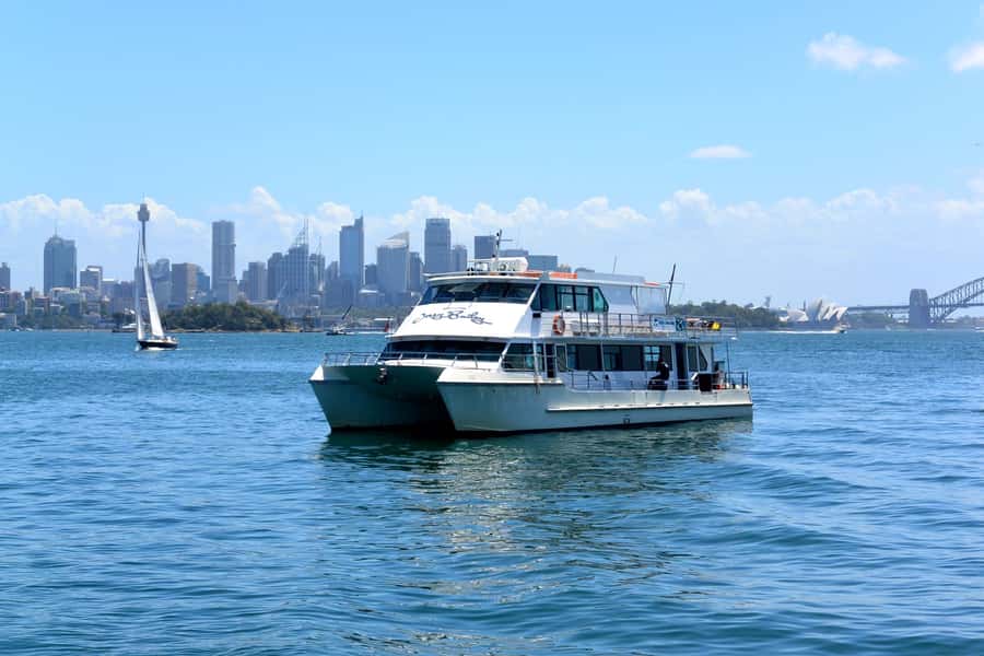 Sydney: Morning Sightseeing Bus to Bondi with Lunch Cruise - A small-group bus plus a real lunch cruise