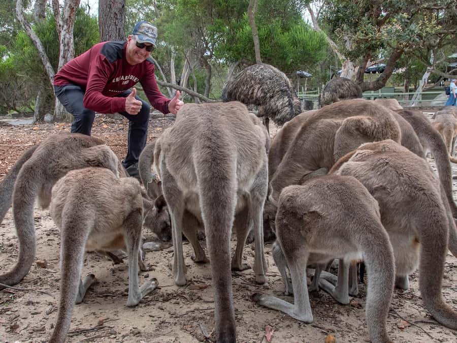 Sydney: Nature and Wildlife - Australia in One Day - Hawkesbury River and coffee, a scenic break that actually fits the day