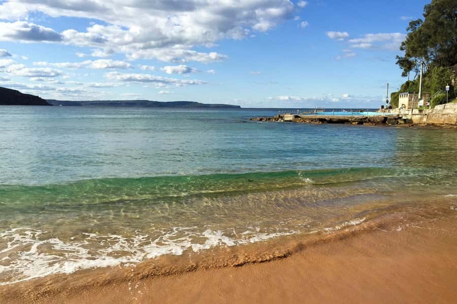 Sydney: Northern Beaches and Ku-ring-gai National Park Tour - Key Highlights Worth Getting Excited About