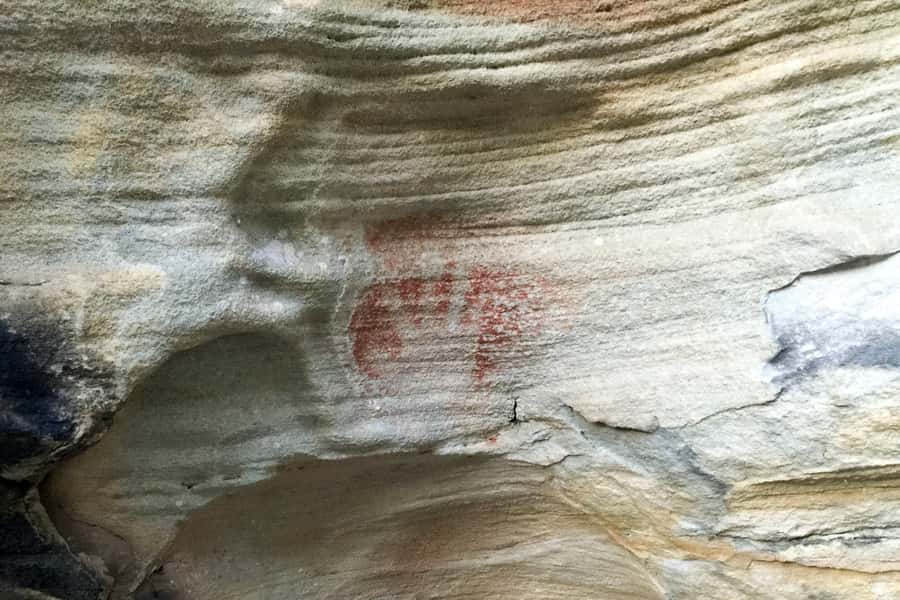 Sydney: Northern Beaches and Ku-ring-gai National Park Tour - Narrabeen, Curl Curl, and Freshwater: Surf Culture Without the Crowds