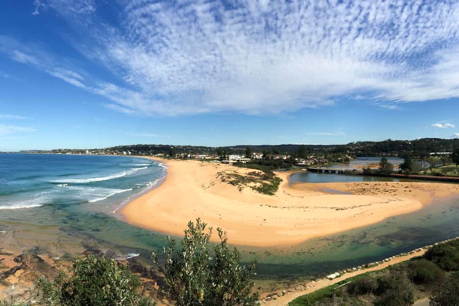 Sydney: Northern Beaches and Ku-ring-gai National Park Tour - Should You Book This Northern Beaches and Ku-ring-gai Tour?
