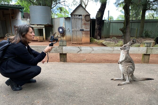 Sydney Opera House and Aussie Animals Private Tour - Key things to know before you go