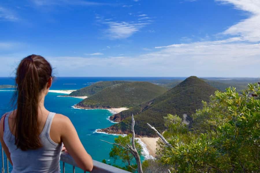 Sydney: Port Stephens Day Trip with Dolphin Cruise or Hike - Key Things I’d Focus On