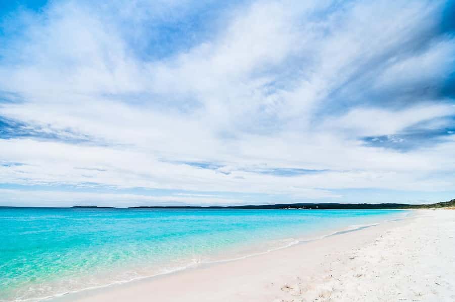 Sydney: Port Stephens Day Trip with Dolphin Cruise or Hike - Choosing your Port Stephens highlight: dolphin cruise or Mount Tomaree summit views