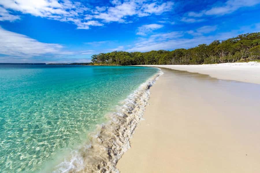Sydney: Port Stephens Day Trip with Dolphin Cruise or Hike - Anna Bay Sand Safari and Sandboarding: where the adrenaline actually lands