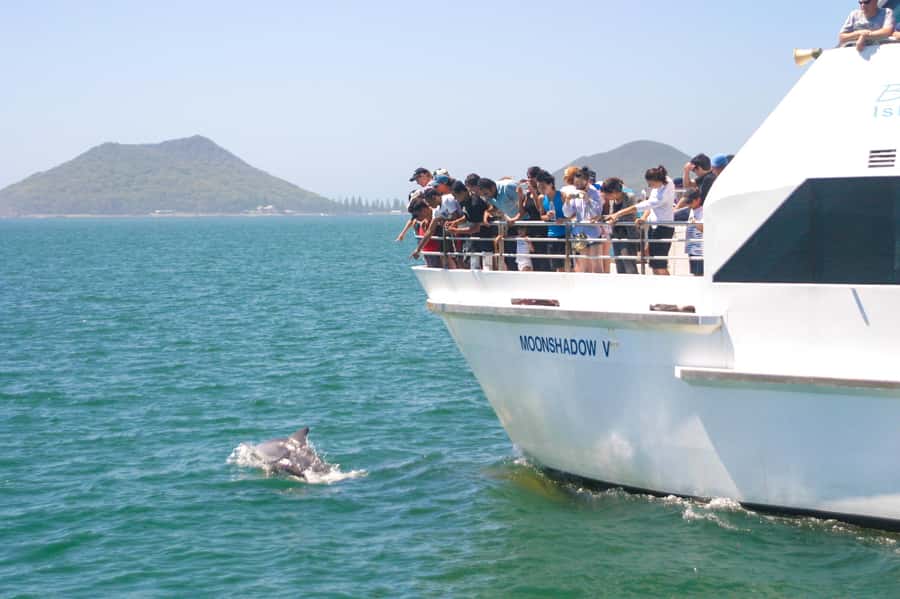 Sydney: Port Stephens Dolphin Cruise & Sandboarding Day Trip - Moonshadow Dolphin Discovery Cruise From Nelson Bay