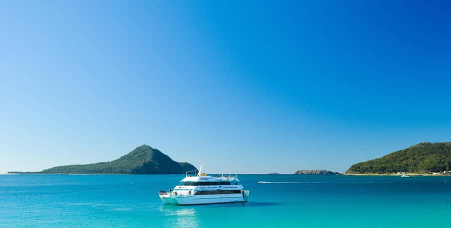 Sydney: Port Stephens Dolphin Cruise & Sandboarding Day Trip - Port Stephens Koala Sanctuary: Rehab Work Plus Real Seeing