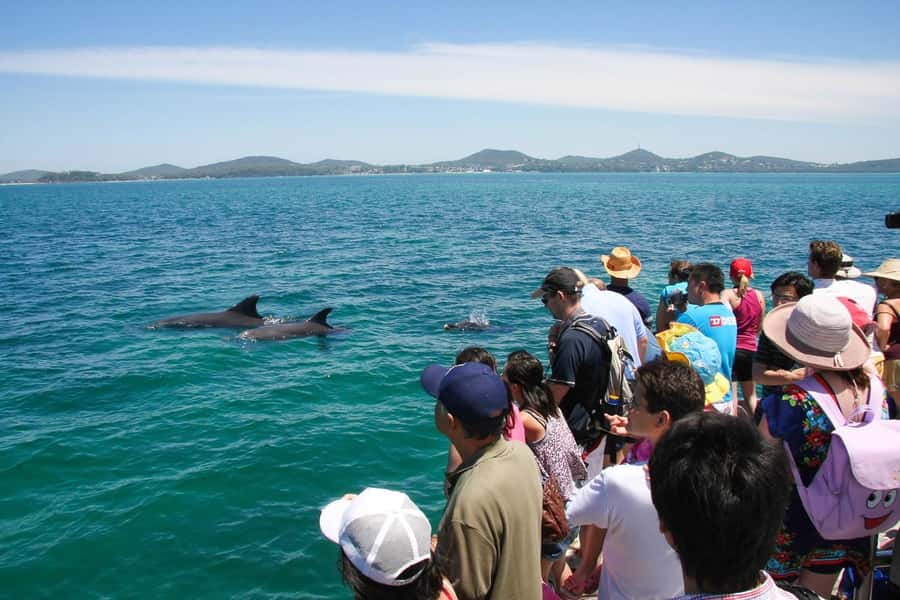 Sydney: Port Stephens Dolphin Cruise & Sandboarding Day Trip - Sandboarding on a Mobile Dune System: What the Fun Costs