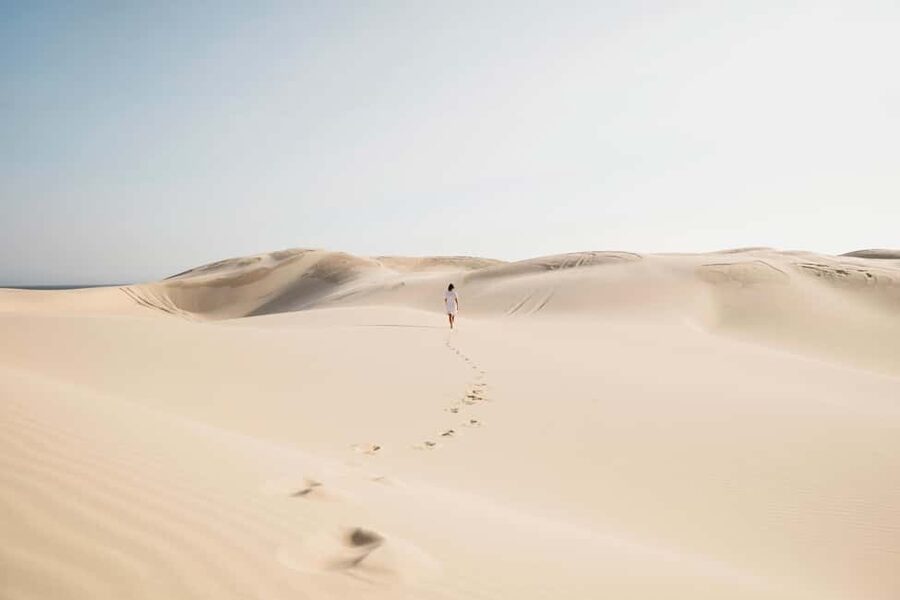 Sydney: Port Stephens Dolphin Watching & Sand Dunes Day Tour - Quick hits before you go