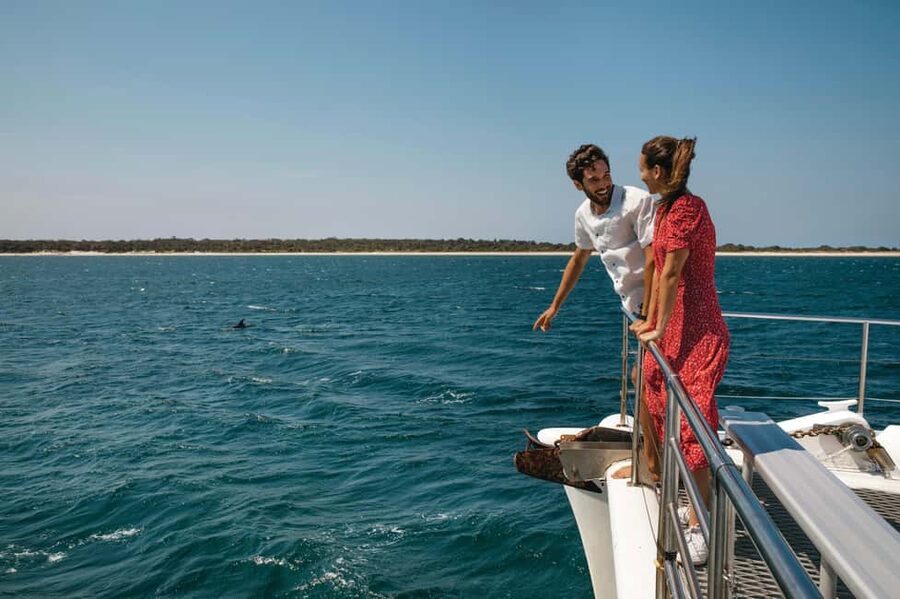 Sydney: Port Stephens Dolphin Watching & Sand Dunes Day Tour - From Sydney to Port Stephens: the smooth small-group day start