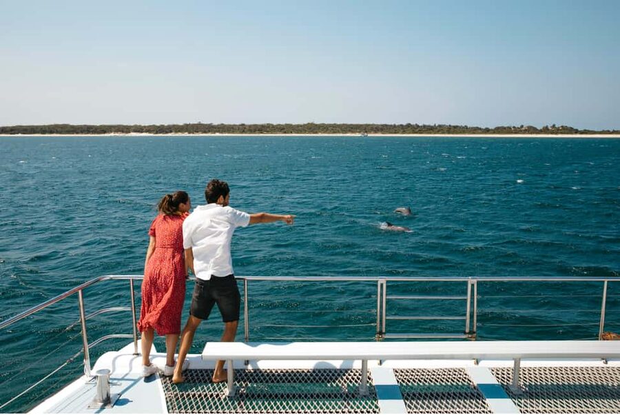 Sydney: Port Stephens Dolphin Watching & Sand Dunes Day Tour - What the 11-hour schedule feels like, stop by stop