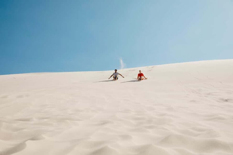 Sydney: Port Stephens Dolphin Watching & Sand Dunes Day Tour - Price and value: where the $145 goes