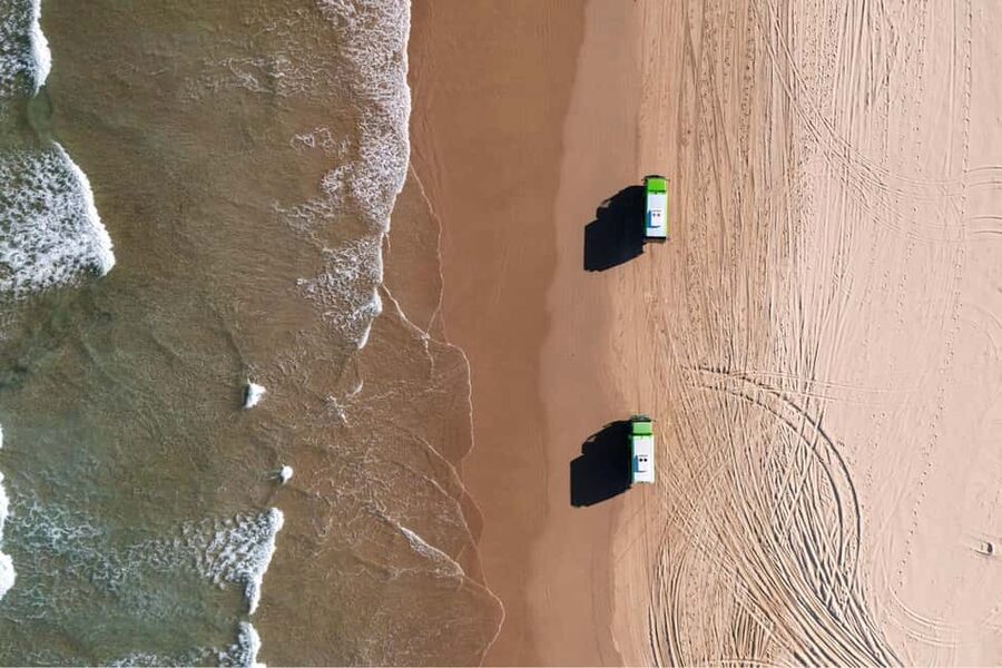 Sydney: Port Stephens Dolphin Watching & Sand Dunes Day Tour - Should you book this Port Stephens dolphin watching and sand dunes day tour?