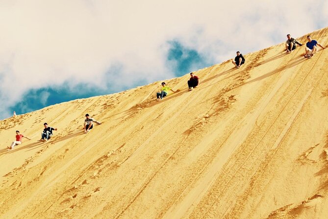 Sydney: Port Stephens Sandboarding, Dunes & Dolphin Cruise option - Port Stephens from Sydney: the early start and the road reality