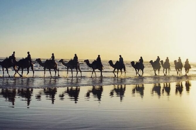 Sydney: Port Stephens Sandboarding, Dunes & Dolphin Cruise option - Mount Tomaree guided summit hike: short walk, big payoff
