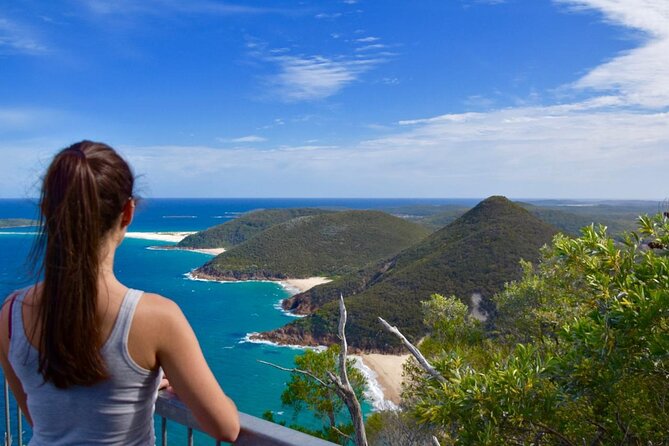 Sydney: Port Stephens Sandboarding, Dunes & Dolphin Cruise option - Anna Bay 4WD sand safari: the part people talk about for a reason