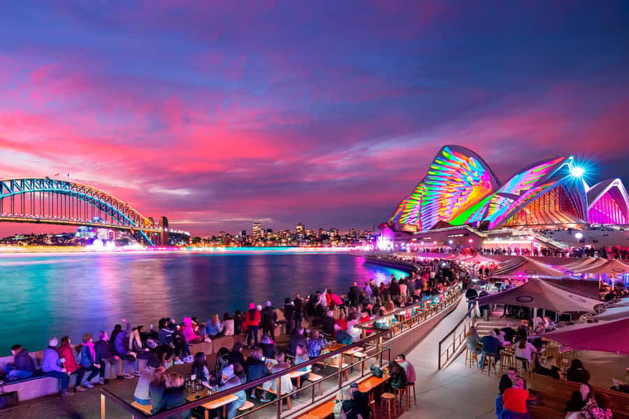 Sydney: Premium Catamaran Vivid Cruise with Welcome Drink - Key highlights worth getting excited about