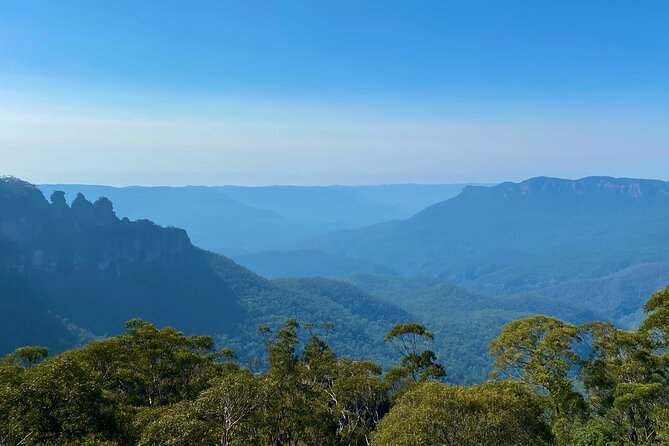 Sydney: PRIVATE Blue Mountains, Wildlife & Cruise Luxe Tour (10h) - Wildlife at Sydney Zoo: Koalas, Kangaroos, and Time to Actually Look