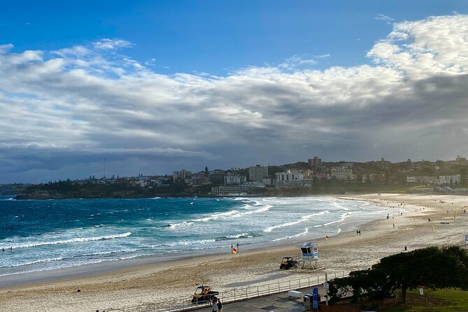 Sydney: PRIVATE City Highlights & Ocean Front Luxe Tour (4h) - Darling Harbour and the Harbour Shore, mixing old streets with new energy