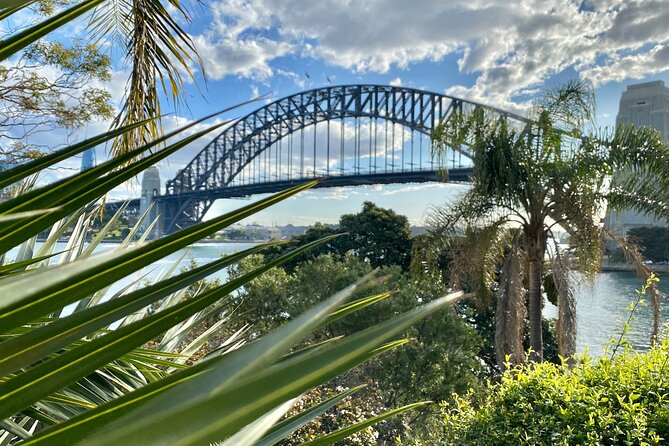 Sydney: PRIVATE City Highlights & Ocean Front Luxe Tour (4h) - Price and what you’re really paying for at $347.15