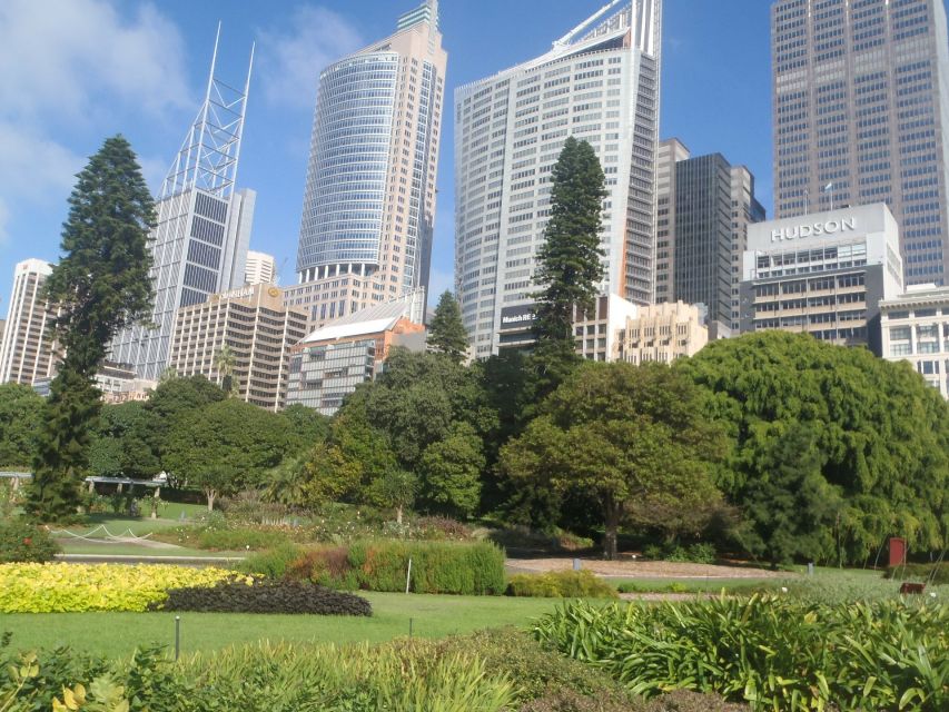 Sydney Private & Custom Walking Experience with a Local - Should you book this private customized walking experience?