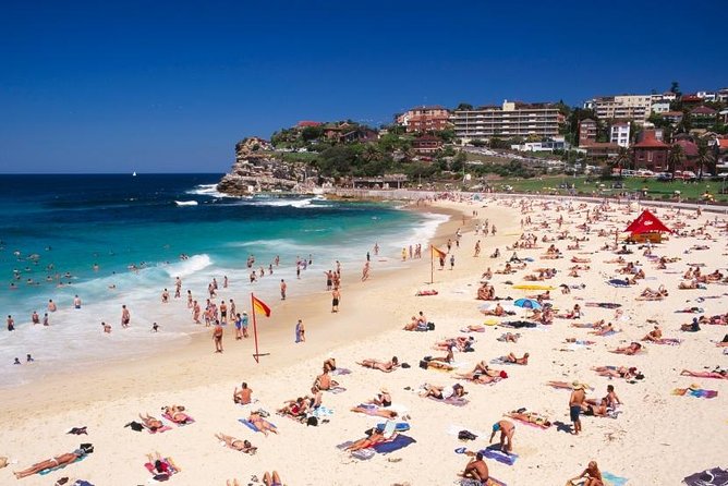 Sydney Private Day Tours | Main Attractions and Highlights | 6 Hour Private Tour - The route that strings together Opera House, Bridge, and beaches