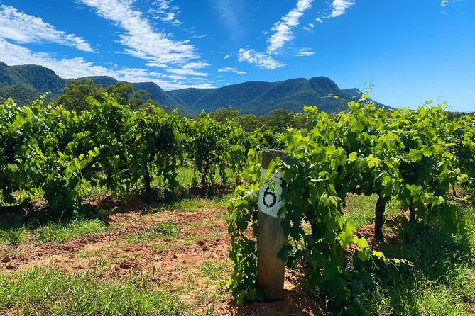 Sydney: PRIVATE Hunter Valley Wine Tasting Luxe Tour (10h) - Key Highlights You’ll Care About