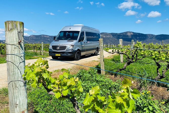 Sydney: PRIVATE Hunter Valley Wine Tasting Luxe Tour (10h) - Lunch in the Hunter: One Course, Beverage, and a Real Reset