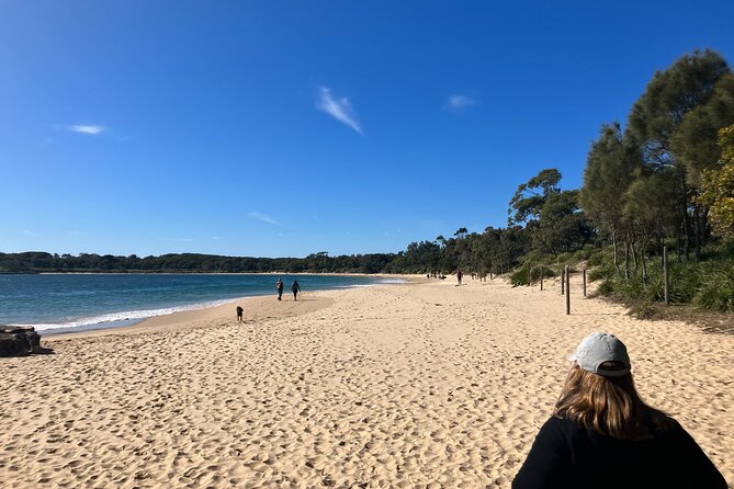Sydney Private Tour Inc The Royal National Park and Symbio Zoo - Bundeena for coastal town time and optional walks