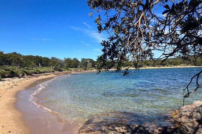 Sydney Private Tour Inc The Royal National Park and Symbio Zoo - Symbio Wildlife Park for koalas and kangaroo feeding (entry included)