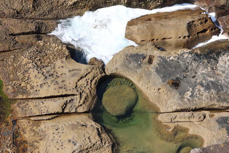 Sydney: Royal National Park private day tour - Lunch with a view, plus photos you don’t have to plan
