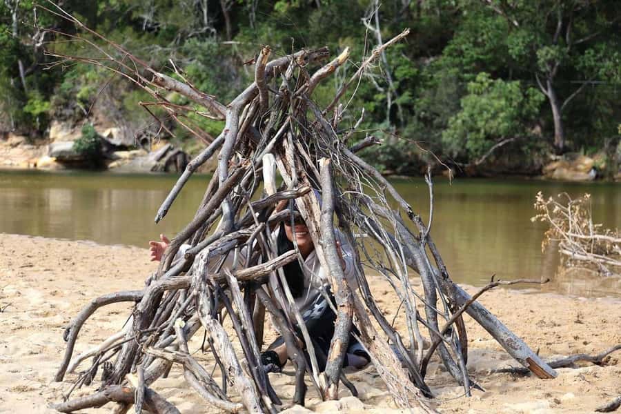 Sydney: Royal National Park private day tour - Wattamolla Beach: waterfall views, a freshwater pool, and a sheltered place to cool off