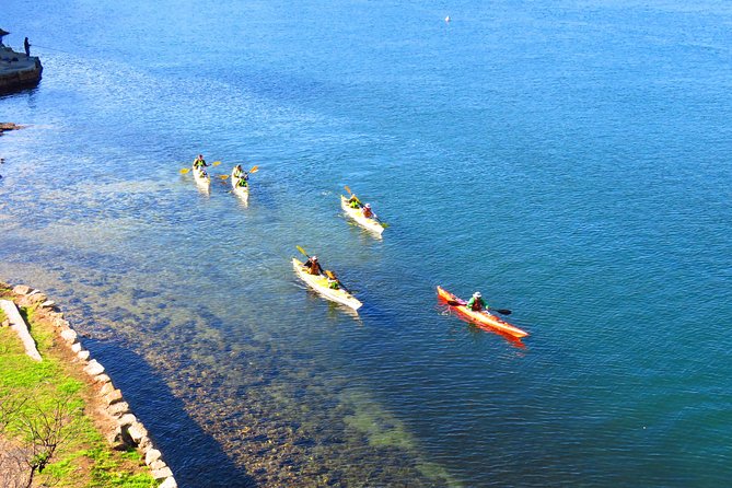 Sydney's Middle Harbour Sea Kayaking Eco Tour (Fully Guided) - Middle Harbour by kayak: the easy way to see Sydney’s green side