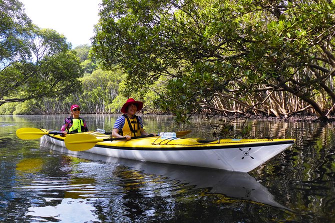 Sydney's Middle Harbour Sea Kayaking Eco Tour (Fully Guided) - Garigal National Park paddle: wildlife, shoreline stories, and hidden coves