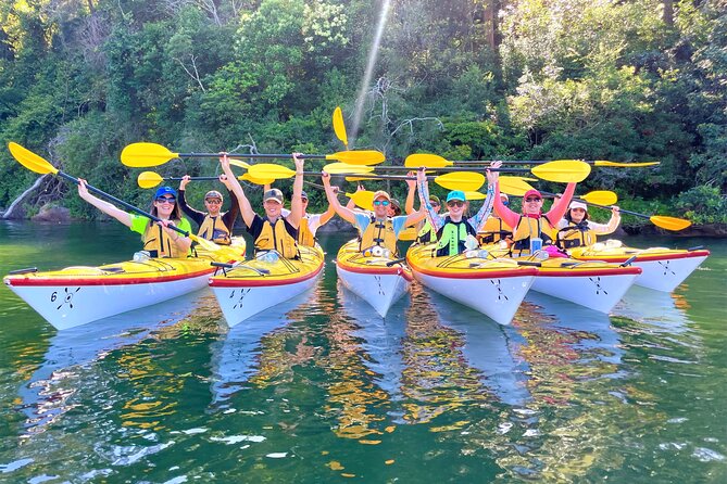 Sydney's Middle Harbour Sea Kayaking Eco Tour (Fully Guided) - Who should book this Middle Harbour eco tour