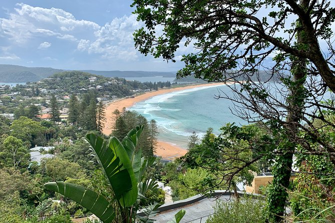 Sydney's Northern Beaches & Ku-ring-gai National Park Small Tour departing Manly - Palm Beach and Whale Beach: Home and Away sites plus cliff-suburb views