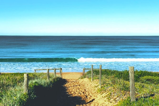 Sydney's Northern Beaches & Ku-ring-gai National Park Small Tour departing Manly - North Narrabeen, Long Reef, and Freshwater: beaches, pelicans, and whale season outlooks