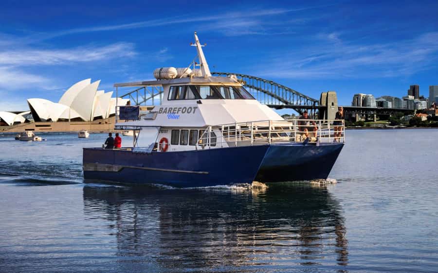 Sydney: Scenic Whale Watching Cruise - Whales Guaranteed - Dolphins and seals: the bonus sightings that often happen