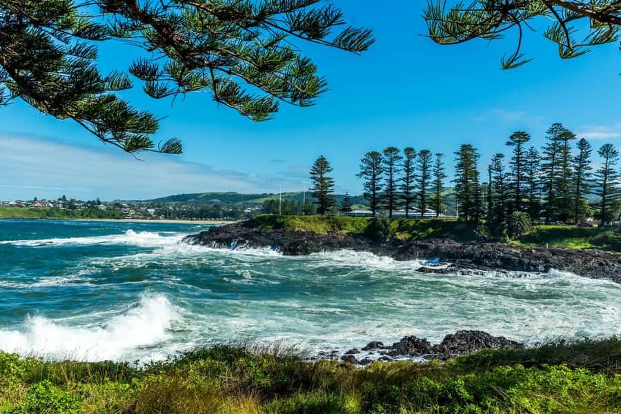 Sydney: Sea Cliff Bridge, Kiama Blowhole and Farmlands Tour - Lunch, snacks, and weather-proof comfort in a long day