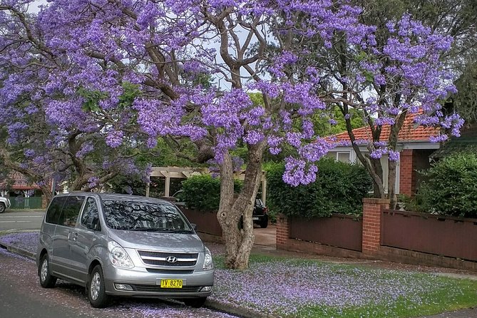 Sydney Secrets and Bondi Beach 4 HOUR MORNING PRIVATE TOUR - Art and cathedral stops: Museum of Contemporary Art, St Mary’s, and more