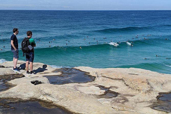 Sydney Secrets and Bondi Beach 4 HOUR MORNING PRIVATE TOUR - Mrs Macquarie’s Chair, Royal Botanic Garden, and the classic bridge-and-sails photo