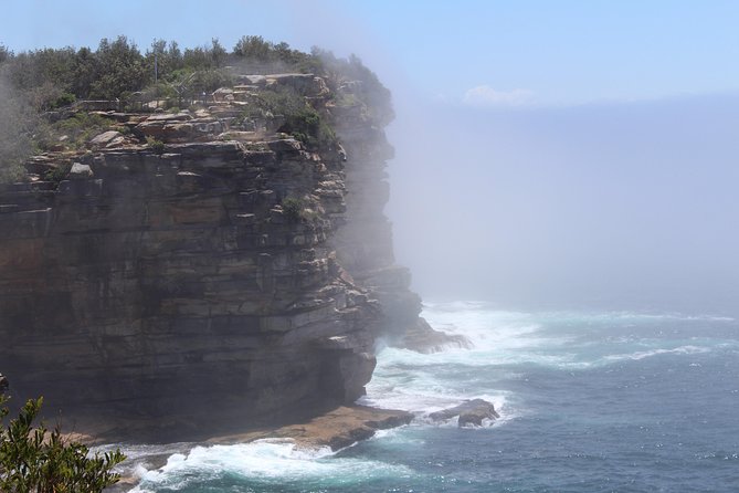 Sydney Shore Excursion: Half-Day Sydney City Highlights and Manly - Arabanoo Lookout and the Northern Beaches loop