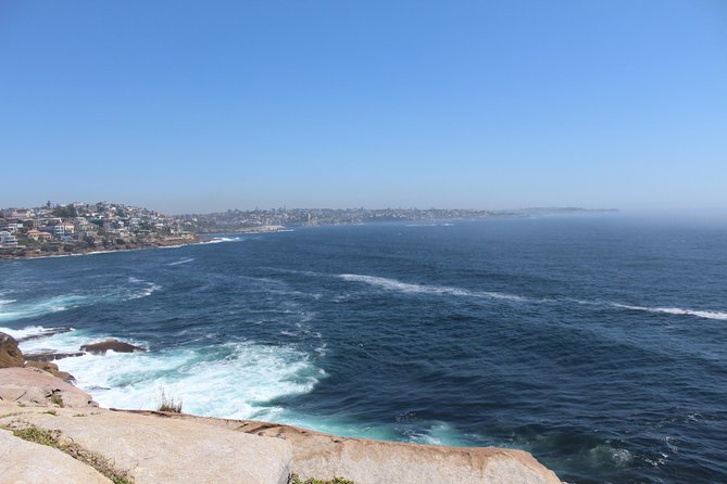 Sydney Shore Excursion: Half-Day Sydney City Highlights with Bondi Beach and Watsons Bay - A Tight Half-Day Loop That Hits The Gap and Bondi