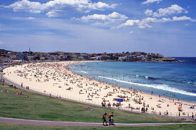 Sydney Shore Excursion: Half-Day Sydney City Highlights with Bondi Beach and Watsons Bay - The Rocks and Sydney Observatory Lookout for Fast City Orientation