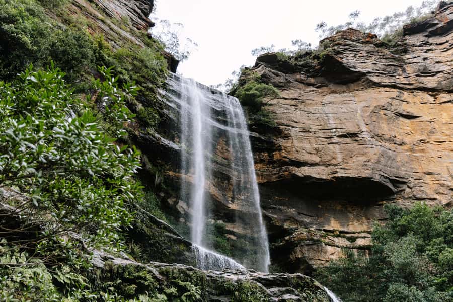 Sydney: Small Group Blue Mountains, Wildlife & Waterfalls - Key things that make this Blue Mountains day work