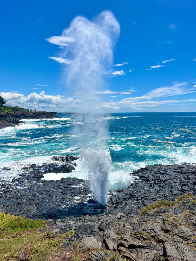Sydney: Southern Highlands and South Coast Private Tour - Should you book? Who this fits best, and who might want to rethink