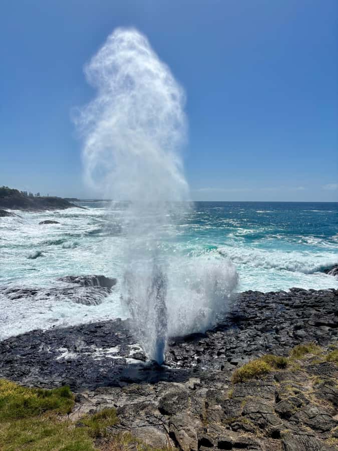 Sydney: Southern Highlands and South Coast Private Tour - Price and logistics: is $322 per person good value?