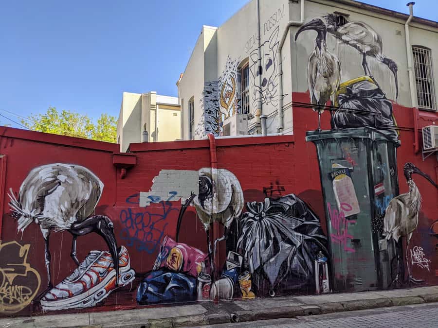 Sydney: Street Art & Small Bar Tour with Complimentary Drink - Key Highlights You’ll Actually Feel on the Street