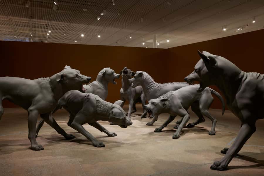 Sydney Summer Art Exhibitions Art Gallery of New South Wales - What Other Bookings Reveal About the Experience