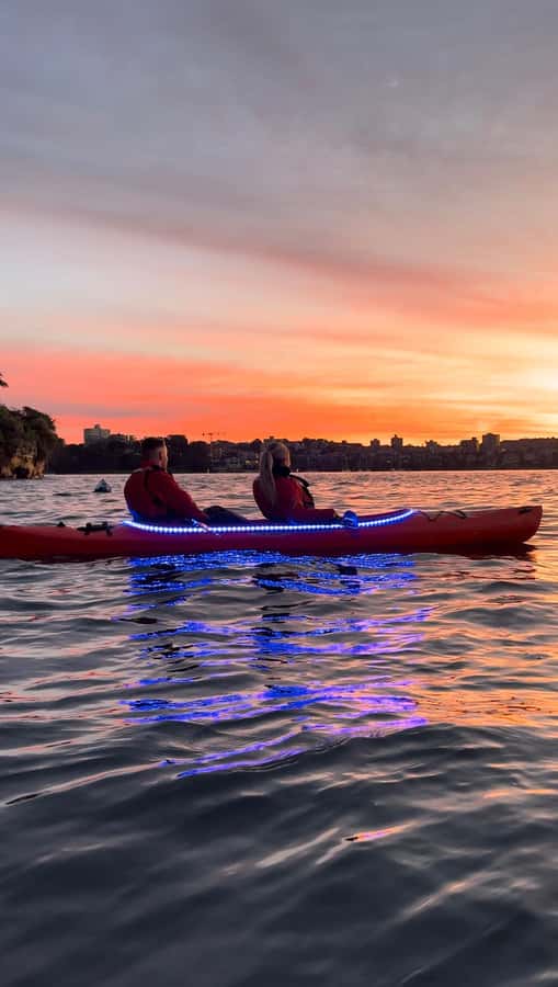 Sydney: Sunrise Kayak, Opera House & Under Harbour Bridge - Price and value: what $126 buys beyond the kayak